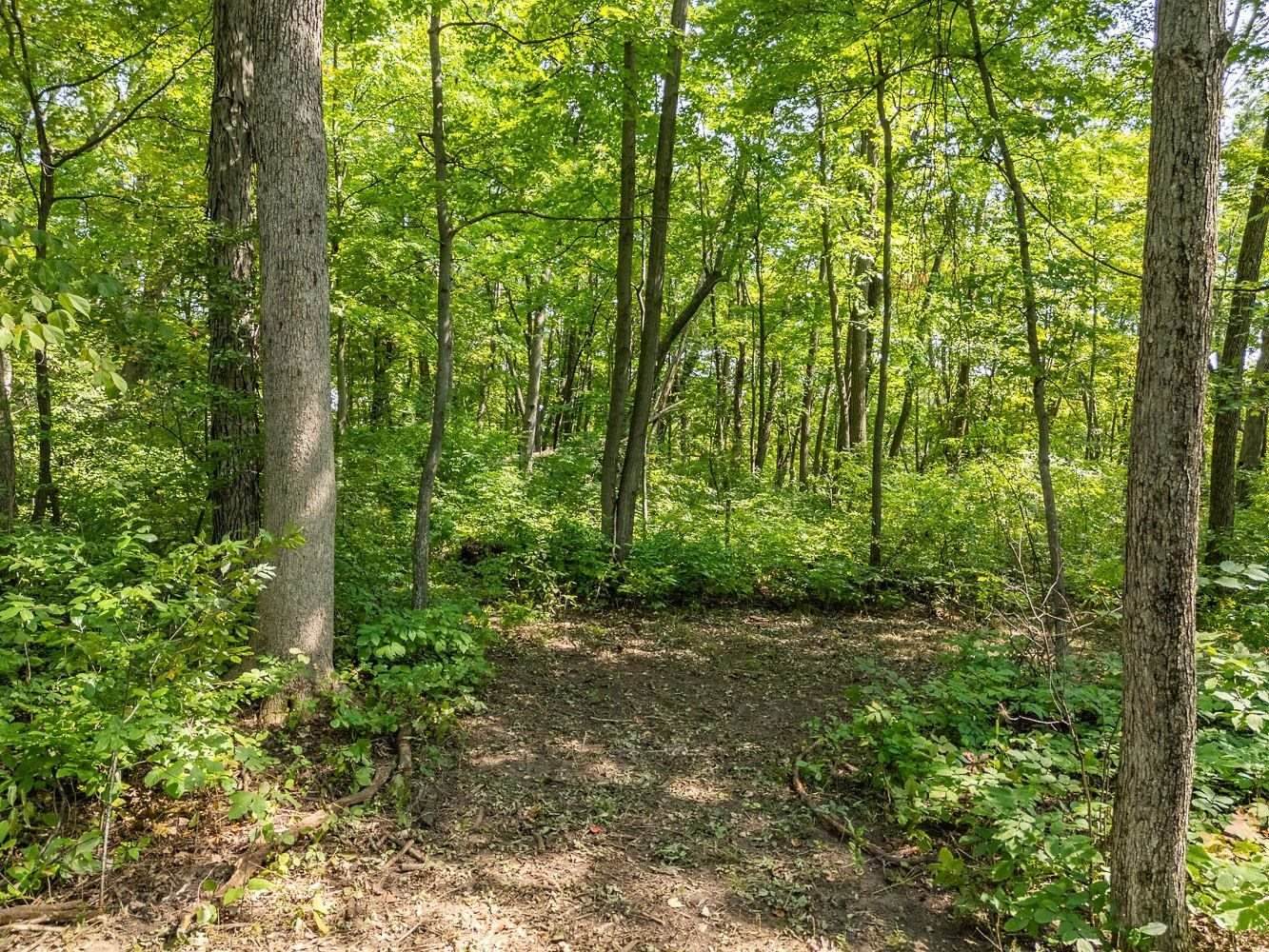 2 + acres Meadow, Loganville, WI 53943