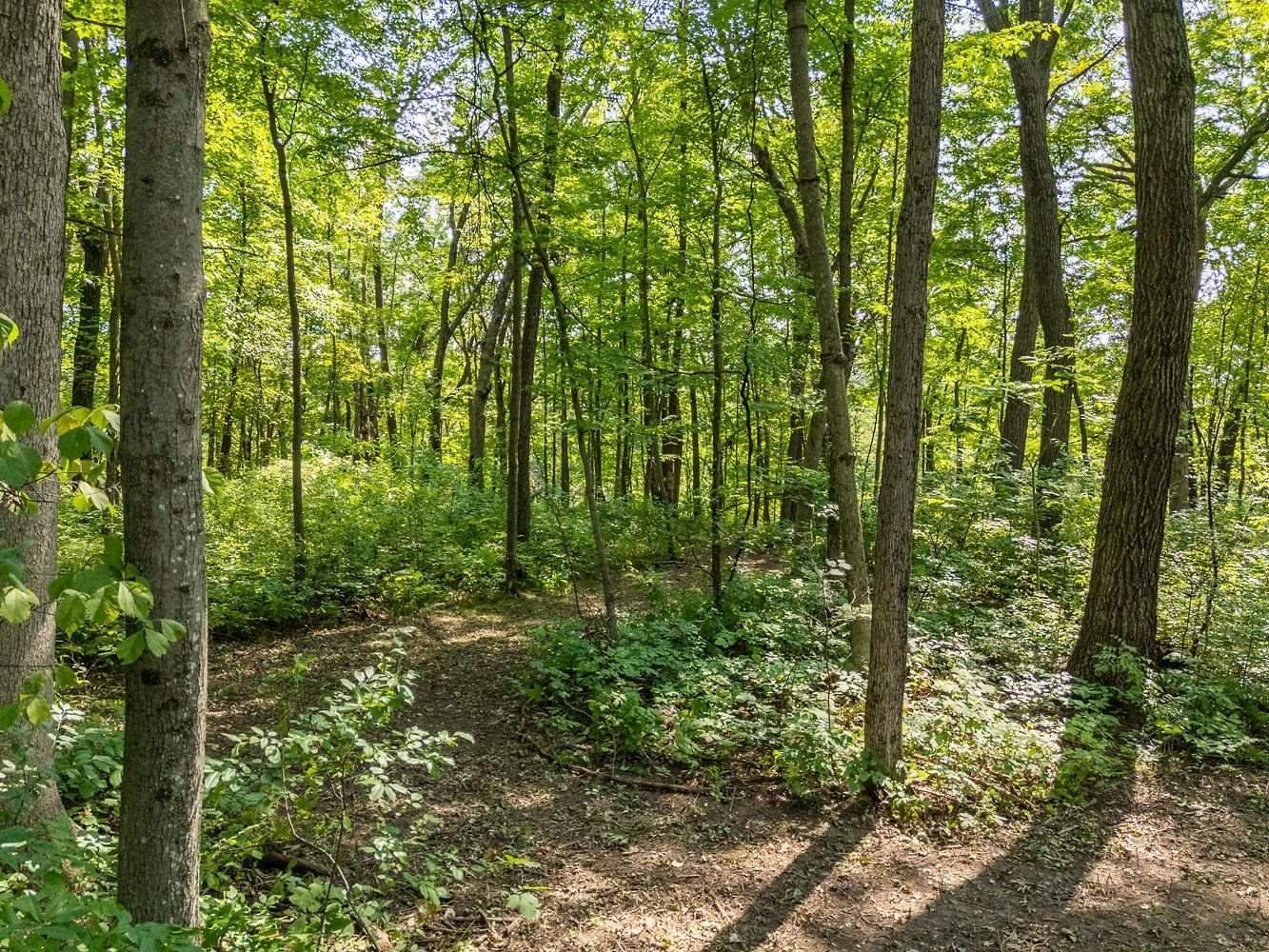 2 + acres Meadow, Loganville, WI 53943