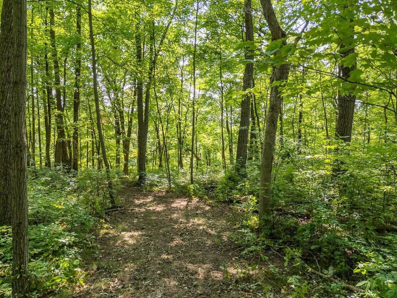 2 + acres Meadow, Loganville, WI 53943