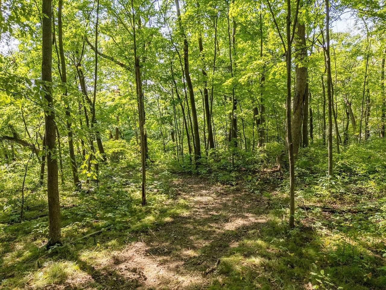 2 + acres Meadow, Loganville, WI 53943