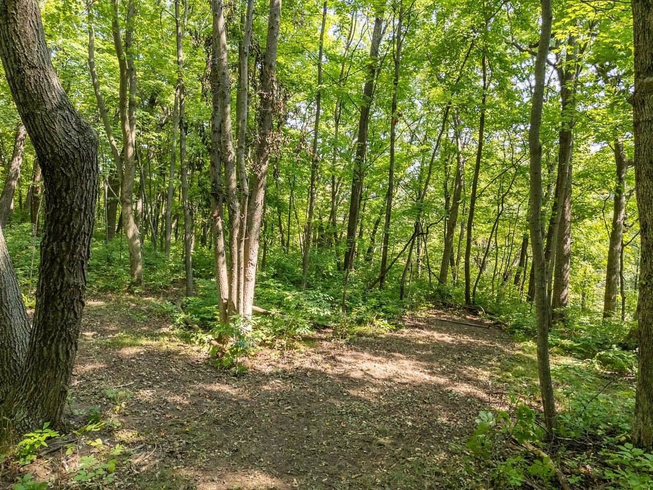 2 + acres Meadow, Loganville, WI 53943