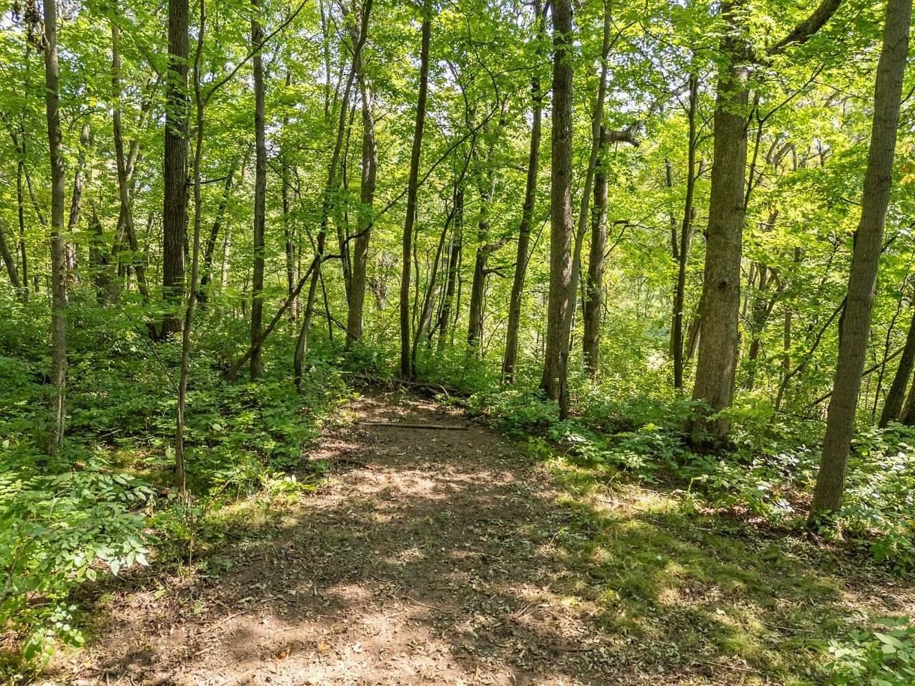 2 + acres Meadow, Loganville, WI 53943