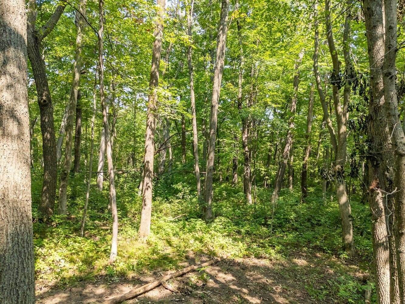 2 + acres Meadow, Loganville, WI 53943