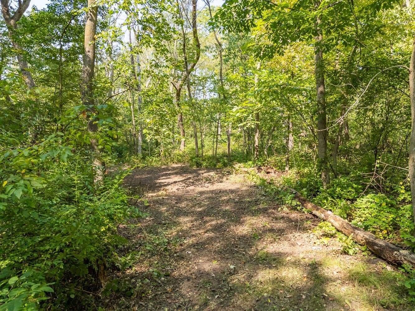 2 + acres Meadow, Loganville, WI 53943