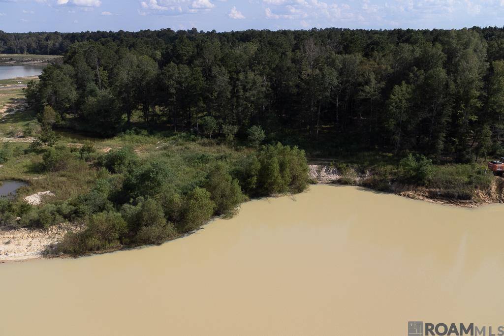 3270 Nesom Rd, Denham Springs, LA 70706