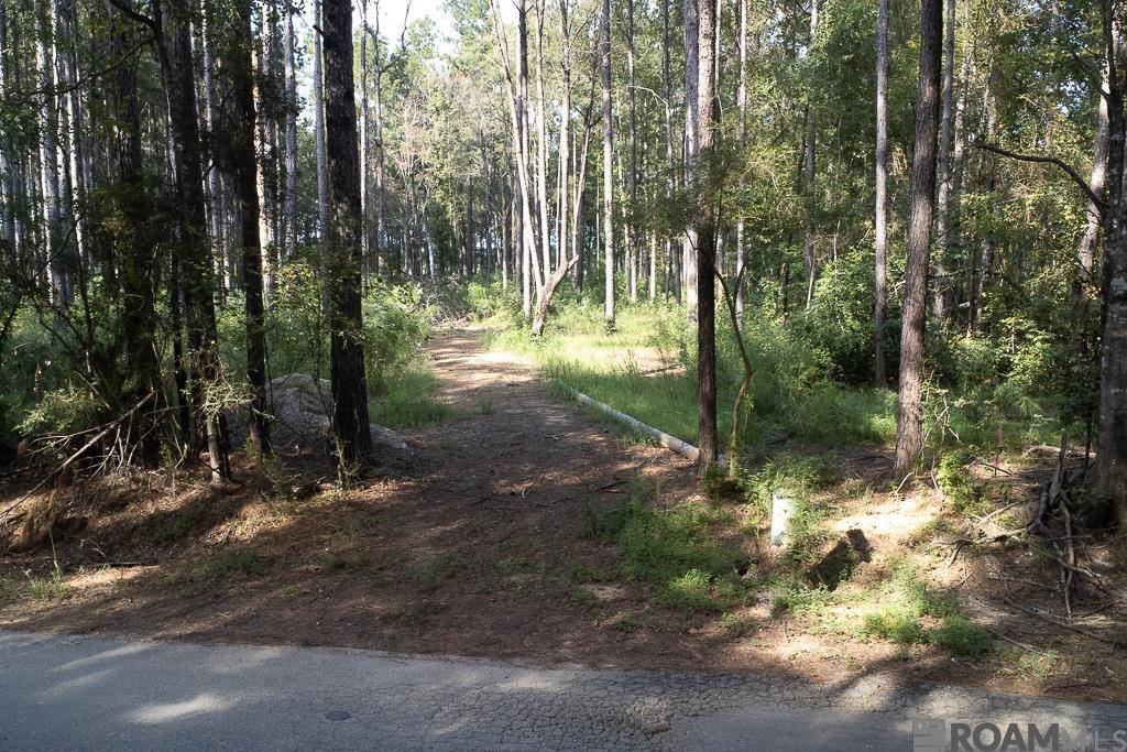 3270 Nesom Rd, Denham Springs, LA 70706