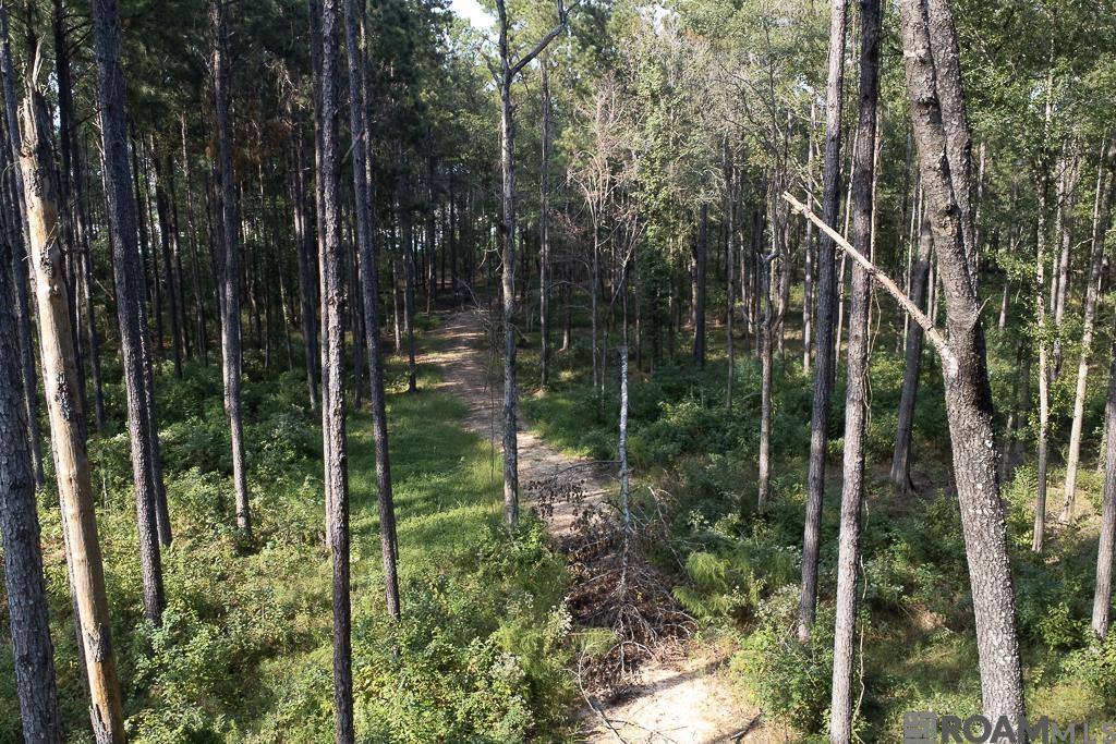 3270 Nesom Rd, Denham Springs, LA 70706