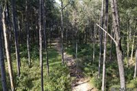 3270 Nesom Rd, Denham Springs, LA 70706