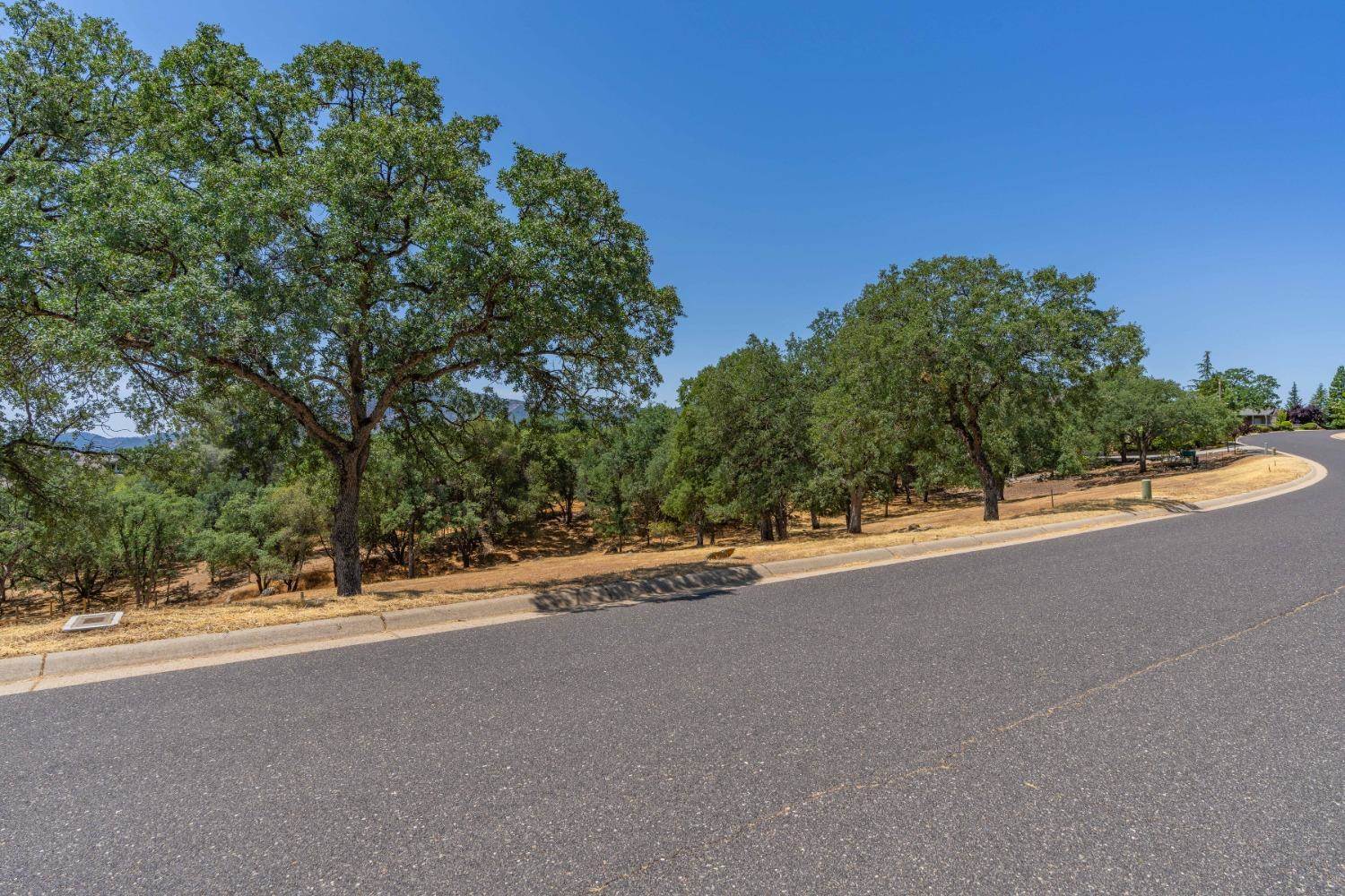 700 Live Oak Drive, Angels Camp, CA 95222