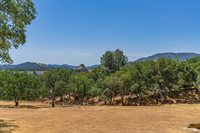 700 Live Oak Drive, Angels Camp, CA 95222