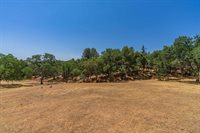 700 Live Oak Drive, Angels Camp, CA 95222