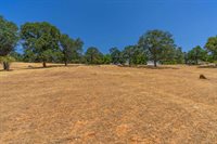 700 Live Oak Drive, Angels Camp, CA 95222