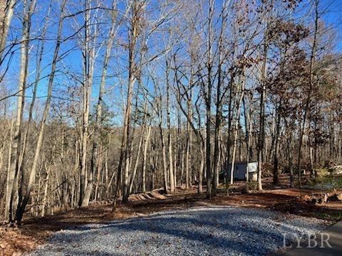 12 Lot Gap Bridge Road, Moneta, VA 24121