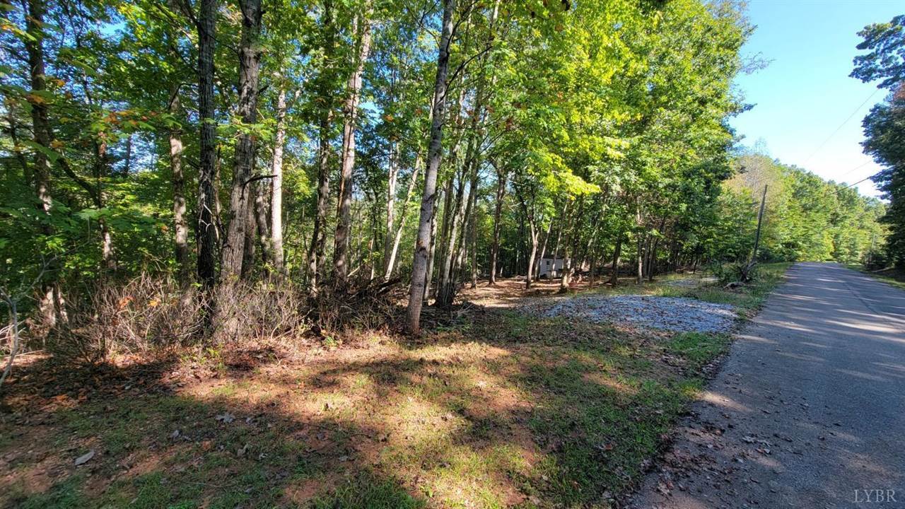 12 Lot Gap Bridge Road, Moneta, VA 24121