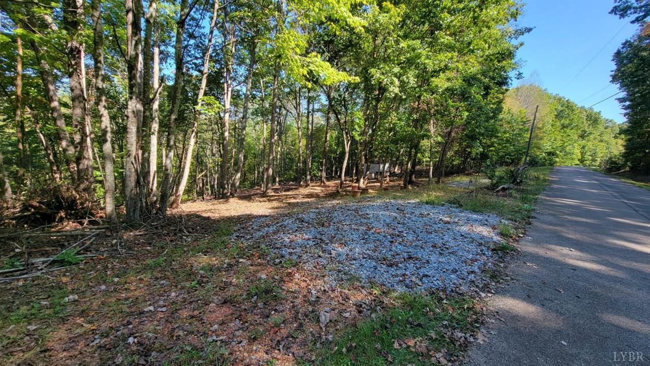 12 Lot Gap Bridge Road, Moneta, VA 24121