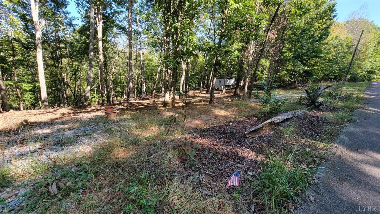 12 Lot Gap Bridge Road, Moneta, VA 24121