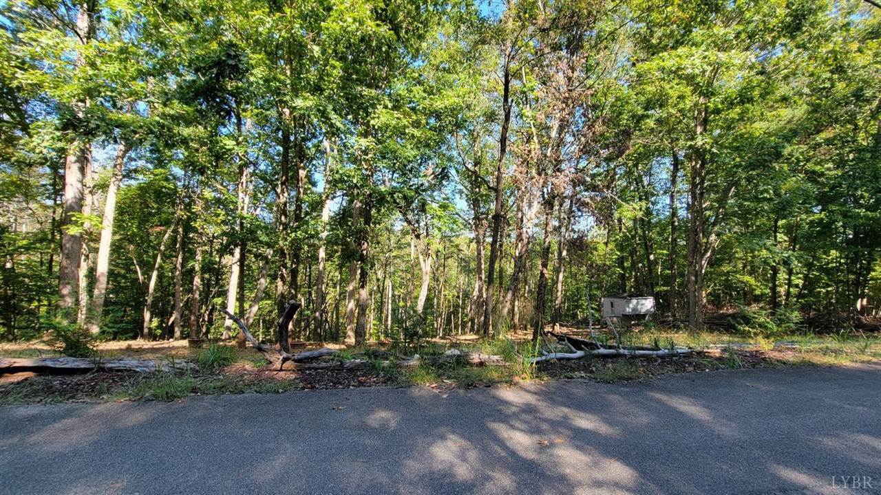 12 Lot Gap Bridge Road, Moneta, VA 24121