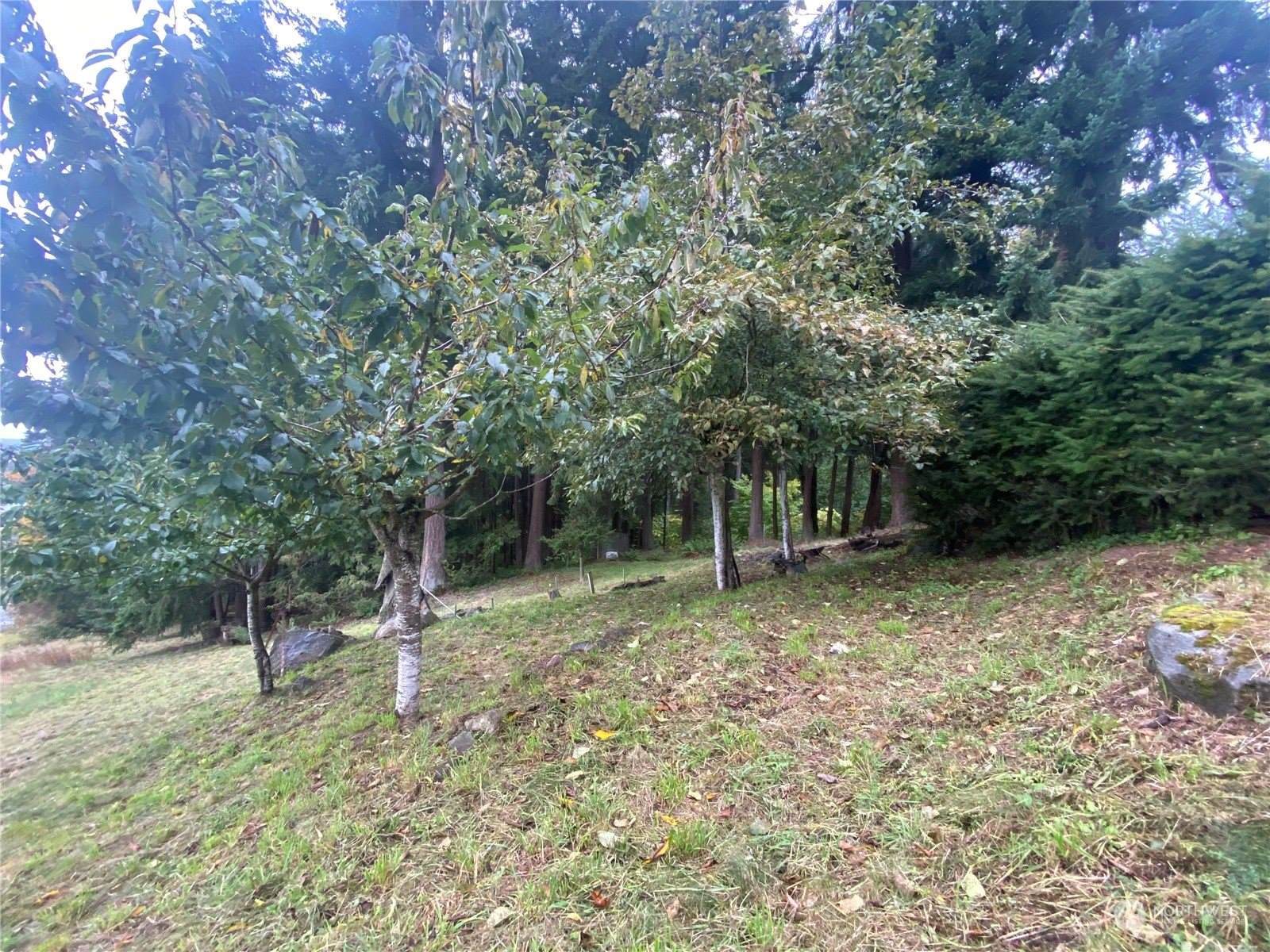 1544 Emerald Lake Way, Bellingham, WA 98226