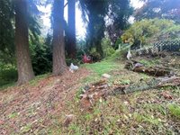 1544 Emerald Lake Way, Bellingham, WA 98226