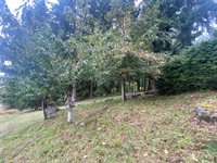 1544 Emerald Lake Way, Bellingham, WA 98226