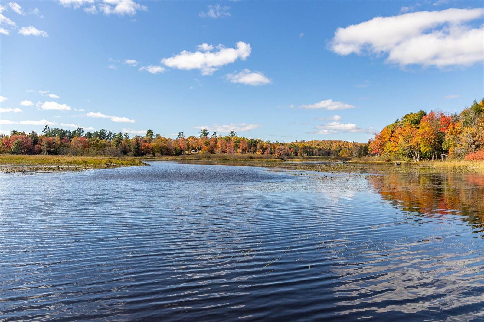 M1/L124 Cove/Bear Brook Road, Sebec, ME 04481