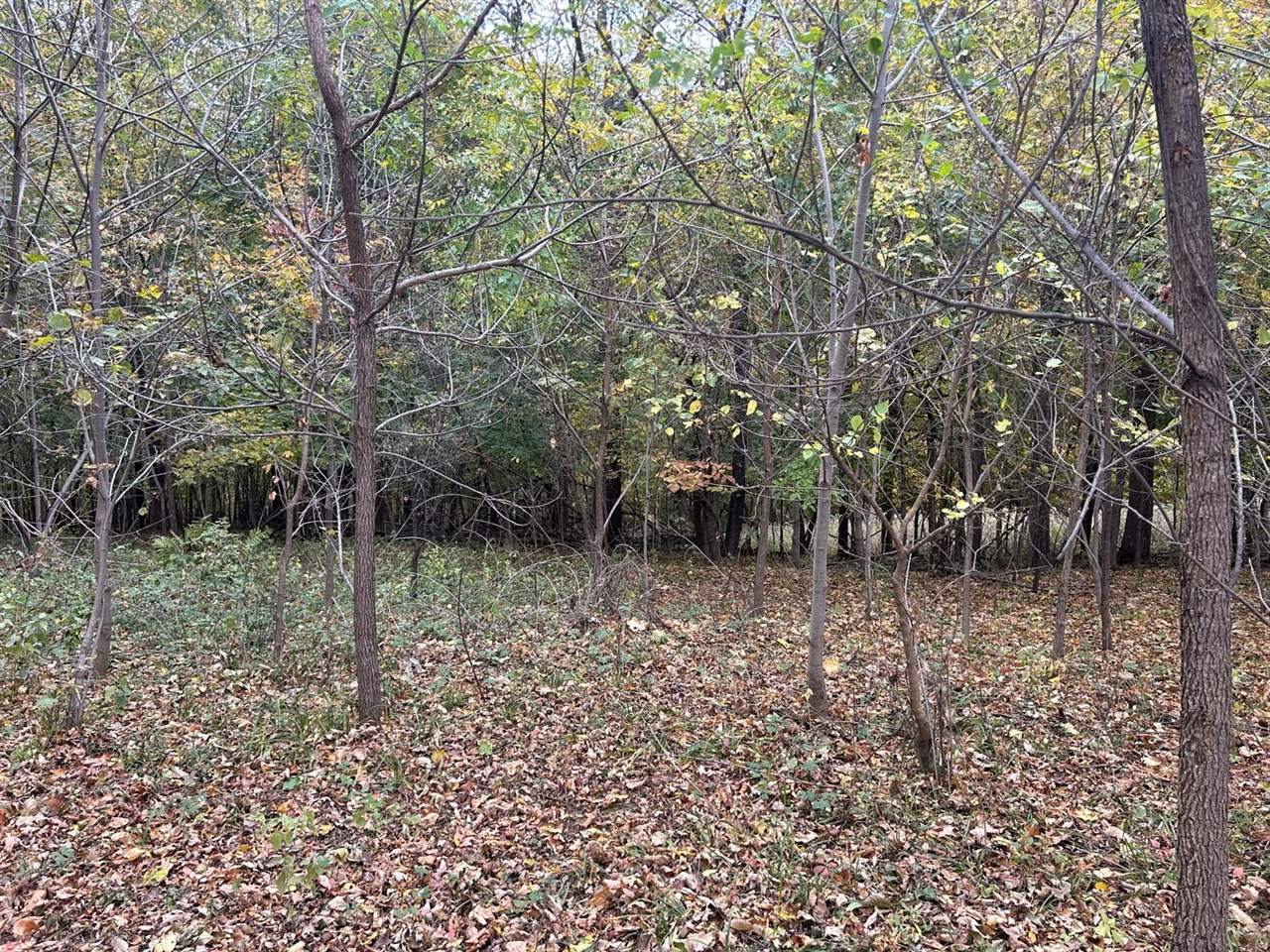 Lot 6 Grandview Dr, Freeman, WI 54624