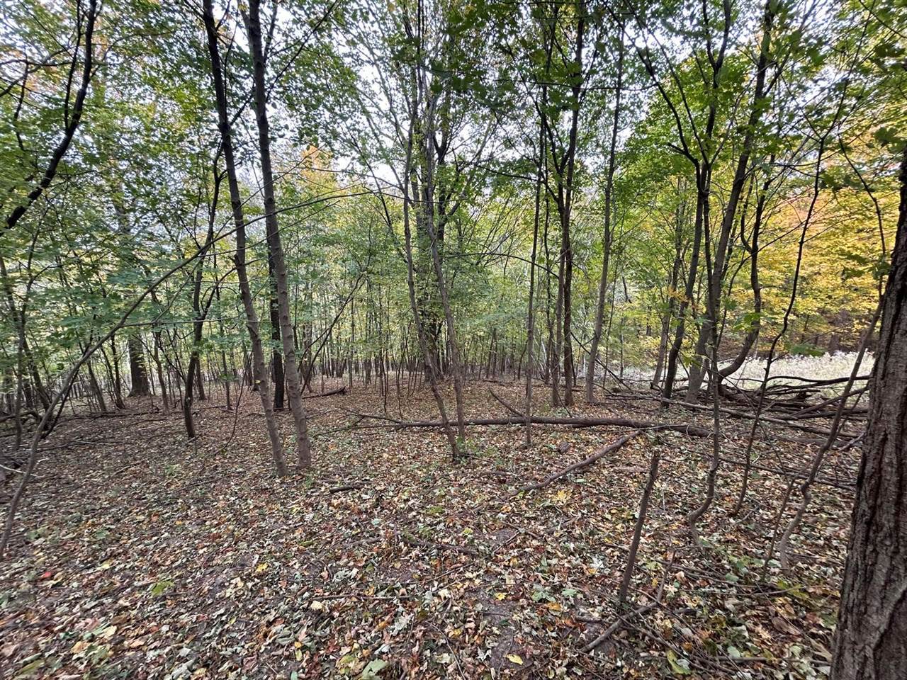 Lot 6 Grandview Dr, Freeman, WI 54624