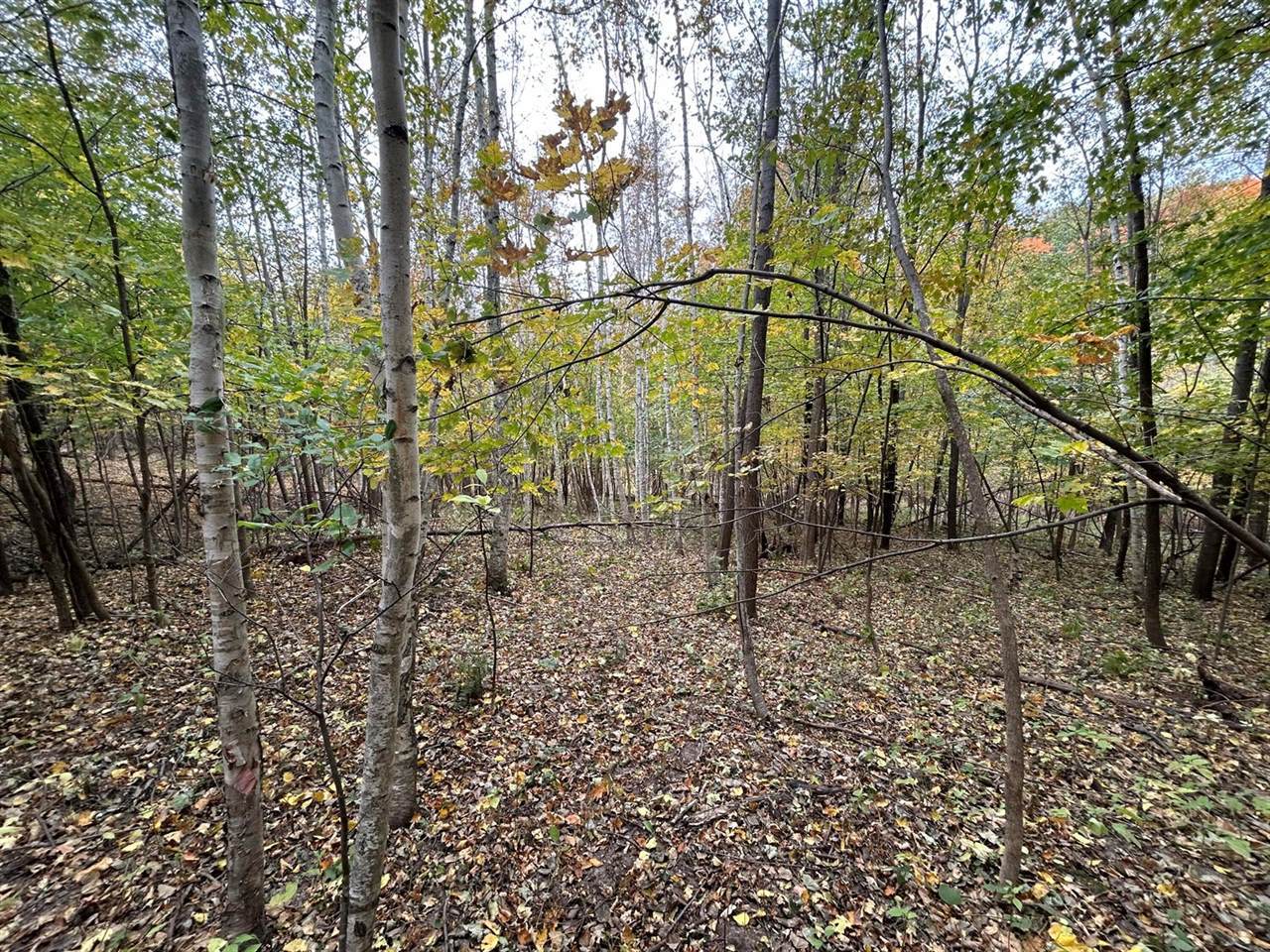 Lot 6 Grandview Dr, Freeman, WI 54624