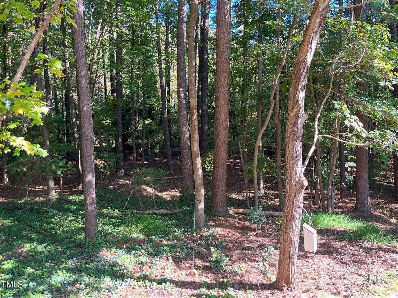 803 Mill Greens Court, Raleigh, NC 27609