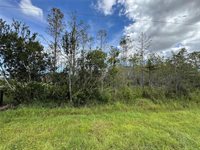 Wembley Avenue, Orlando, FL 32833