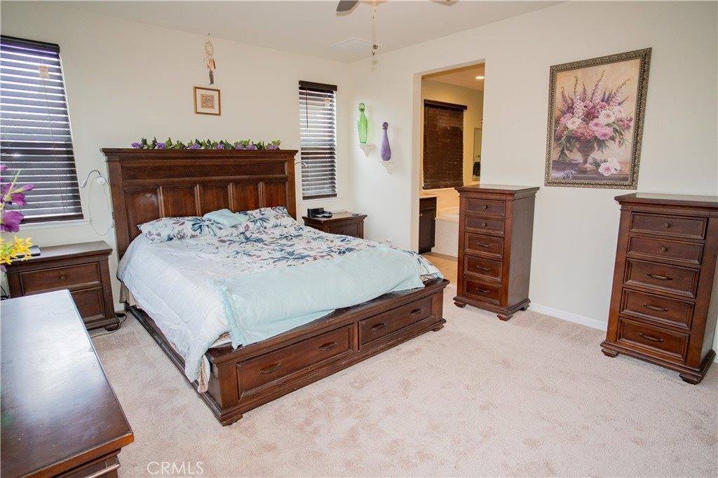 2208 Snowy Egret Street, Modesto, CA 95355