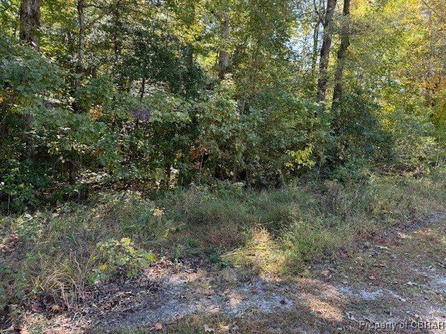 00000 Cedar Trail, Gloucester County, VA 23061