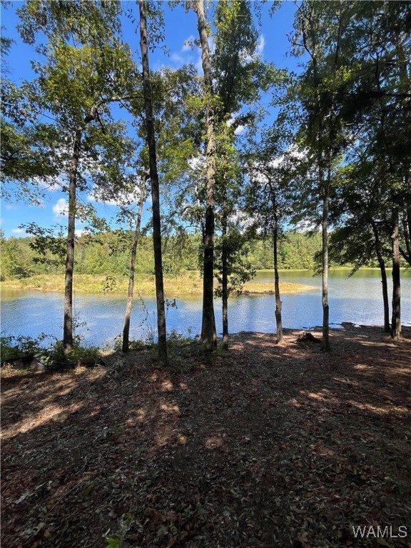 3 Rising Tide, Northport, AL 35475