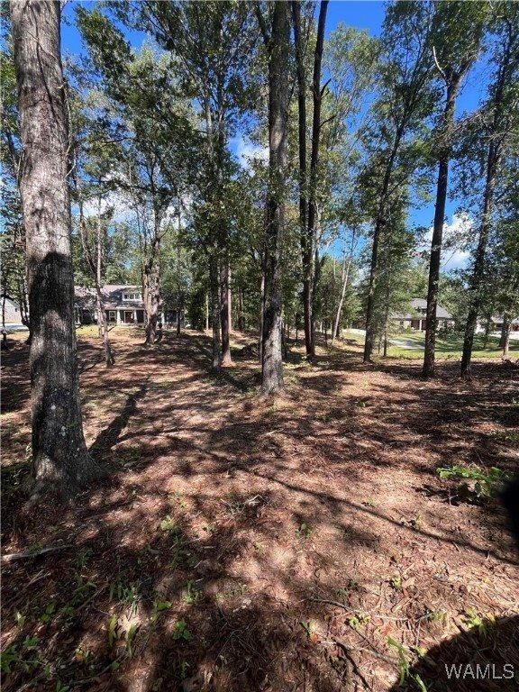 3 Rising Tide, Northport, AL 35475