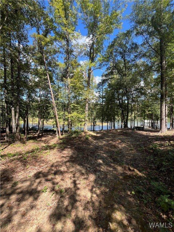 3 Rising Tide, Northport, AL 35475