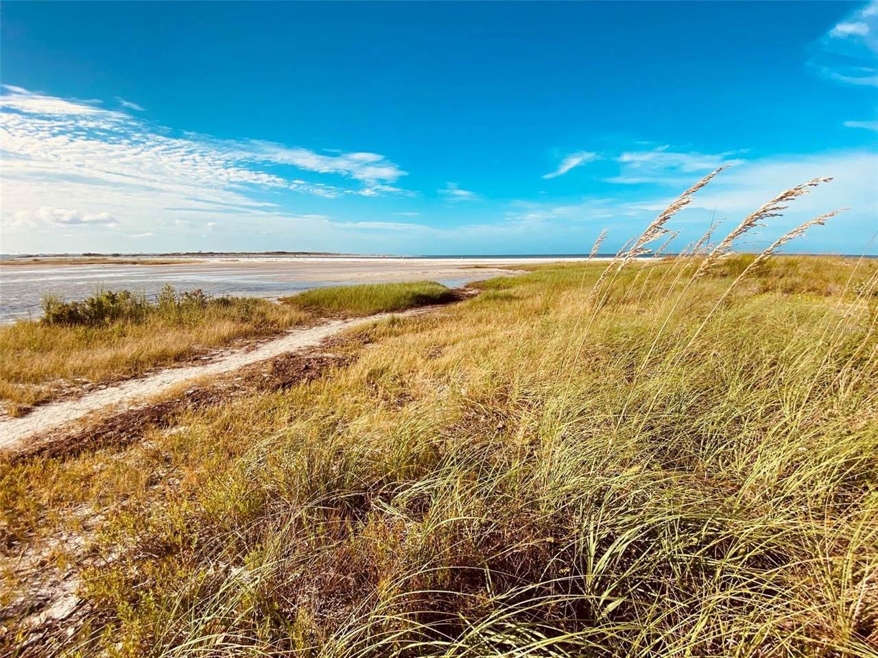 2053 Harvard Avenue, Dunedin, FL 34698