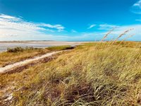 2053 Harvard Avenue, Dunedin, FL 34698