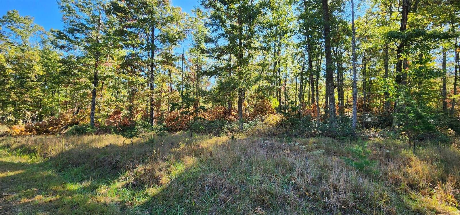 Lot 102 Black Diamond Rd, New Castle, VA 24127