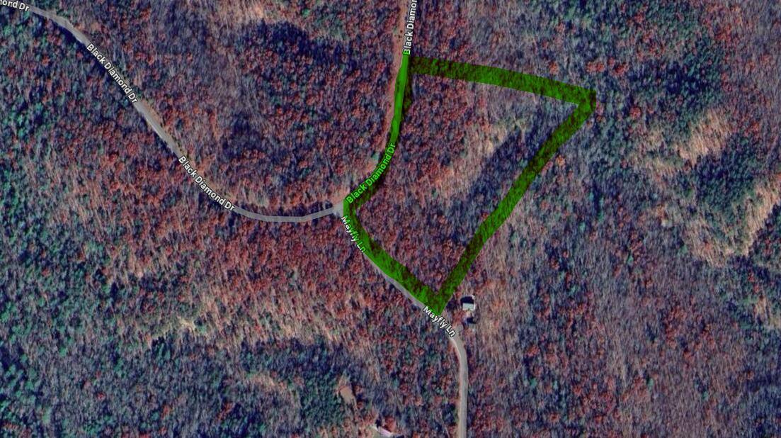 Lot 102 Black Diamond Rd, New Castle, VA 24127