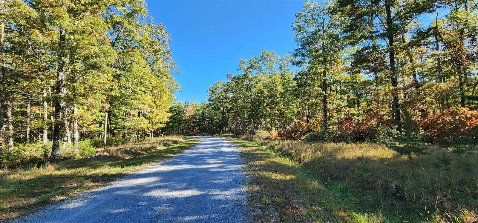 Lot 102 Black Diamond Rd, New Castle, VA 24127