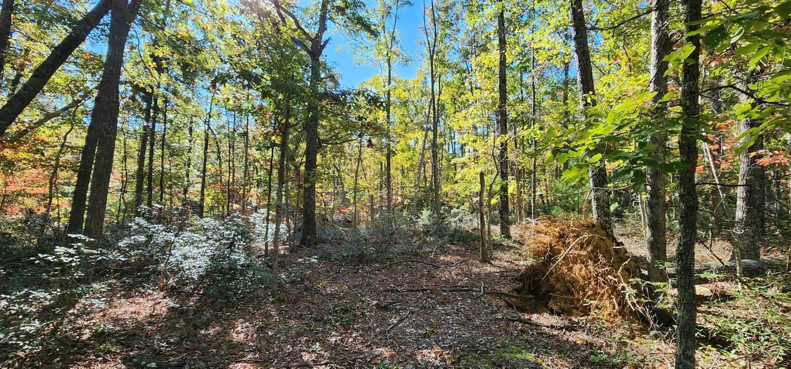 Lot 102 Black Diamond Rd, New Castle, VA 24127