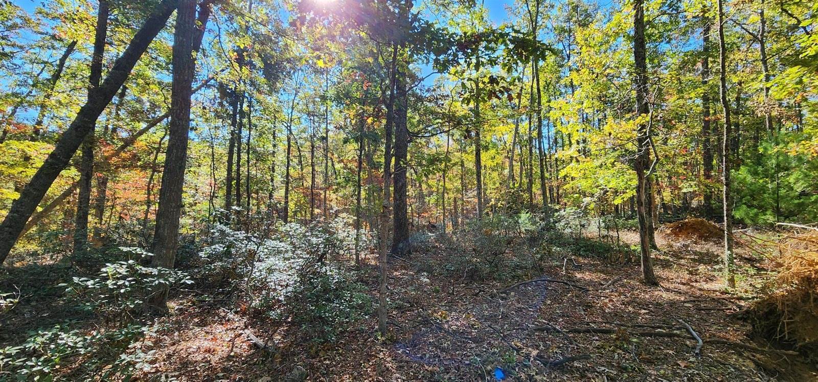 Lot 102 Black Diamond Rd, New Castle, VA 24127