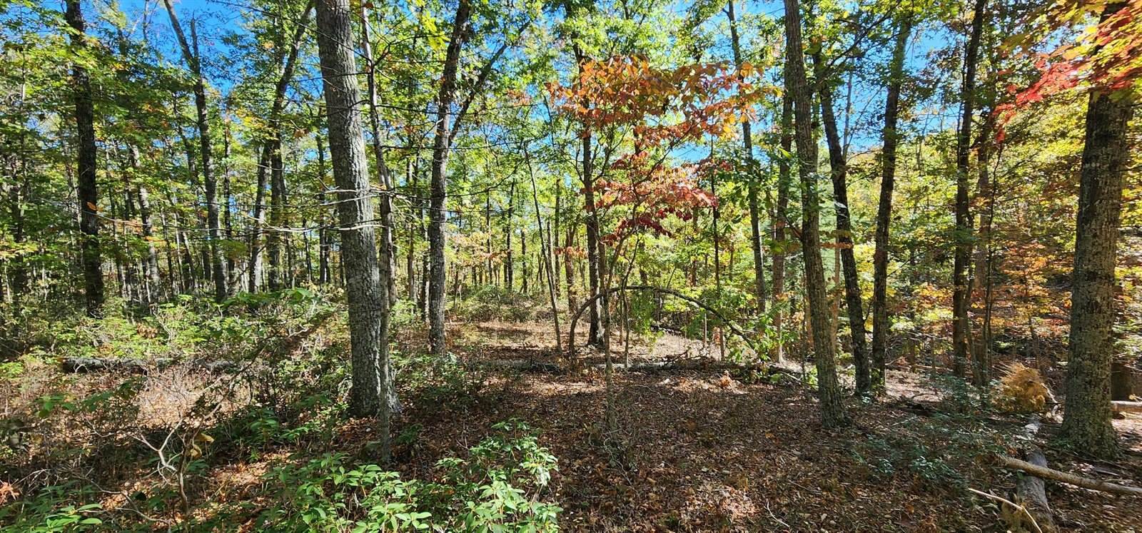 Lot 102 Black Diamond Rd, New Castle, VA 24127