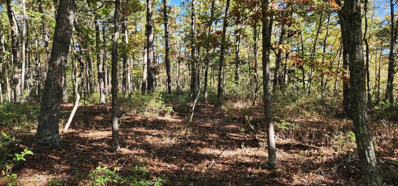 Lot 102 Black Diamond Rd, New Castle, VA 24127