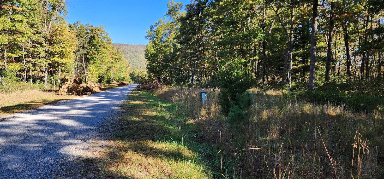 Lot 102 Black Diamond Rd, New Castle, VA 24127