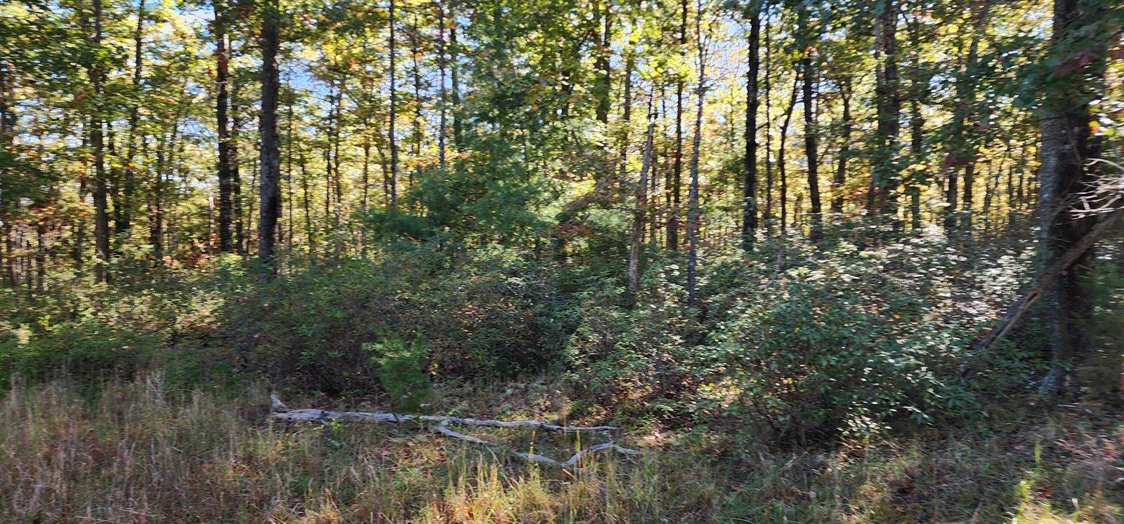 Lot 102 Black Diamond Rd, New Castle, VA 24127