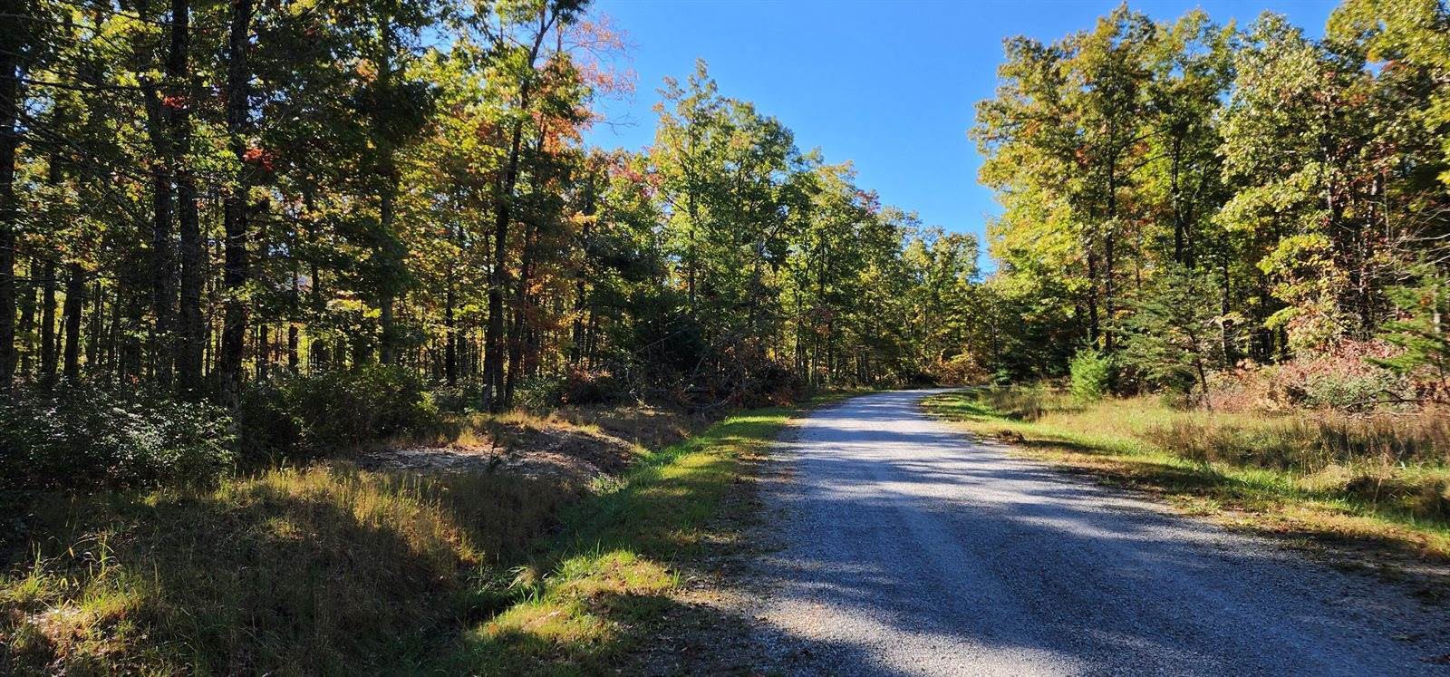 Lot 102 Black Diamond Rd, New Castle, VA 24127