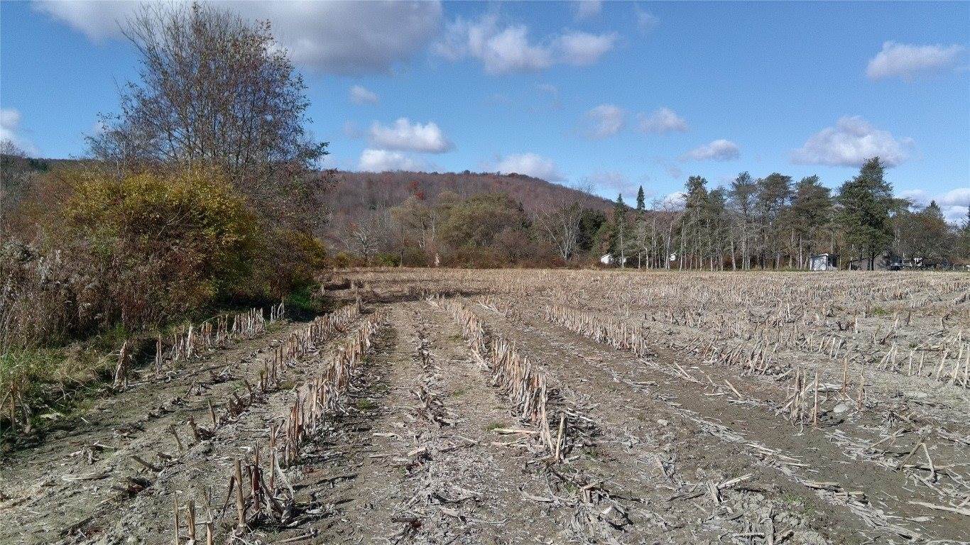 0 West Creek Road, Berkshire, NY 13736