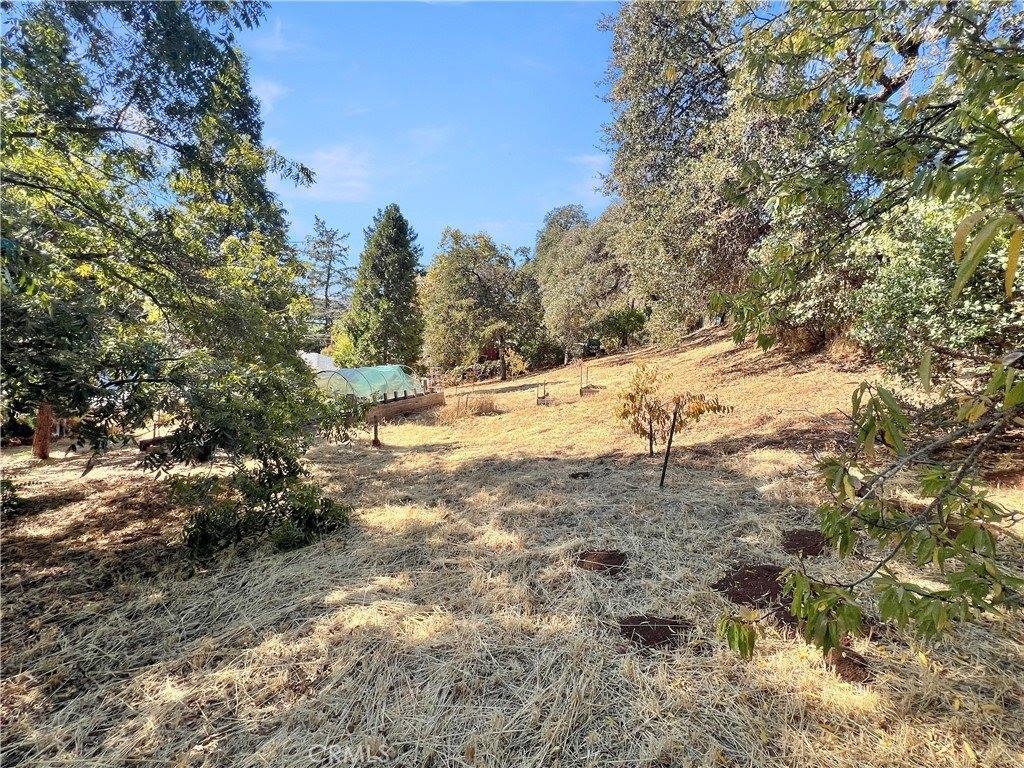 9466 East Highway 20, Glenhaven, CA 95443