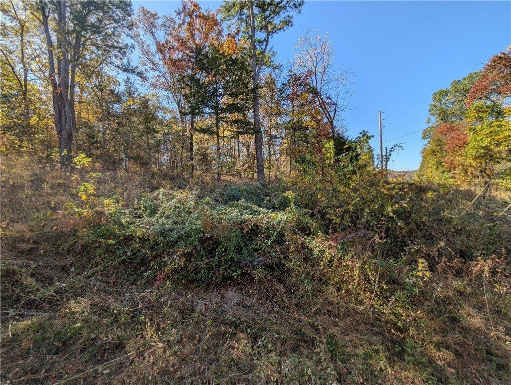 TBD Chaucer Drive, Bella Vista, AR 72714